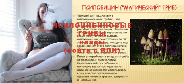 гашик Армянск