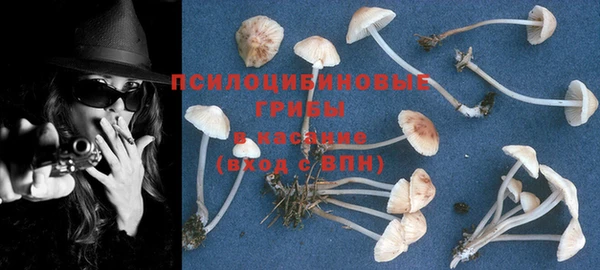 гашик Армянск