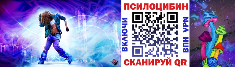 Галлюциногенные грибы Cubensis  продажа наркотиков  Шацк 